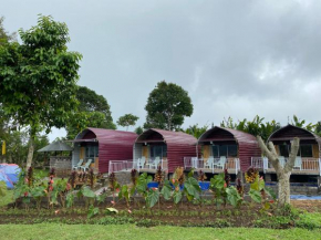 Bali Strawberry Glamping and Camp Bedugul